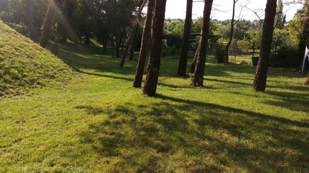Ribarska Kuca Romana Premantura Exterior foto